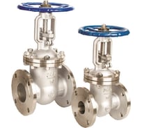 Задвижка АТКА 30нж41нж (ЗКЛ2-16 нж) Ду65, Ру16 1003010708