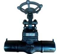 Клапан (вентиль) запорный АТКА 15с52нж11 Ду25 Ру63 под приварку 1005021203