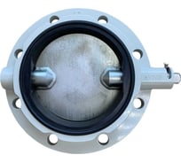 Затвор дисковый поворотный ATF ДУ 200 (Р) ZDP-DU-200P