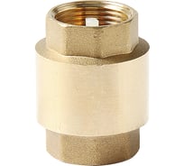Обратный клапан PRO AQUA с пластиковым диском, В-В ШК 1 1/2 CVL-f40-f40xb