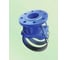Муфтовое резьбовое седло RUTEMPО DN 400 (400-455)х2" РУ 10 РА-060633 2