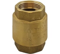 Обратный клапан Tiemme 2"1/2, пружинный, с пластиковым затвором 3500022