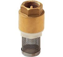 Клапан обратный MasterProf 1/2" с фильтром ИС.080377