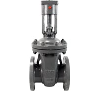 Задвижка клиновая DN.ru 30с941нж Ду50 Ру16 фланцевая под электропривод D040-03773