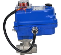 Кран шаровой DN.ru КШМП.316.230-ISO Ду10 Ру63 с электроприводом 003 blue 24В D160-13434
