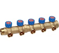 Коллектор регулирующий FAR 1 1/4, НР-ВР, 2 отвода М33х1,5 FK 3827 C11402