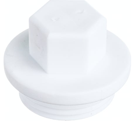 Заглушка пробка PN25 с резьбой 1 10557