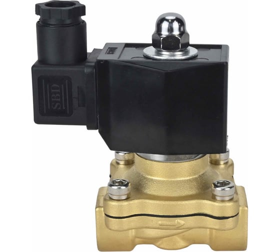 Клапан электромагнитный DN.ru VS2W-300V-NC Ду8 Ру10 двухходовой, латунь, VITON, 220В AC D130-03338