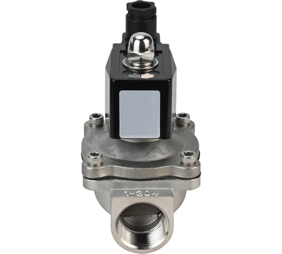 Клапан электромагнитный DN.ru VS2W-301V-NO Ду8 Ру10 двухходовой, сталь, VITON, 220В AC D130-03368