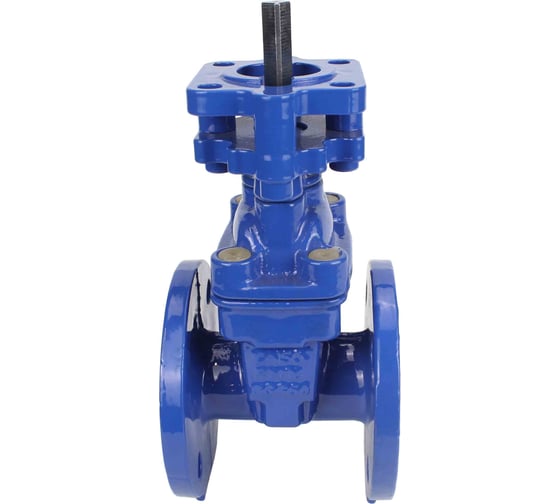 Задвижка клиновая DN.ru 30ч939р GGG50-GGG50-EPDM-BLUE Ду150, Ру10/16, под электропривод D040-07714