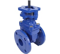 Задвижка клиновая DN.ru 30ч939р GGG50-GGG50-EPDM-BLUE Ду125, Ру10/16, под электропривод D040-07713