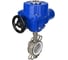 Затвор DN.ru 316L-316L-PTFE Ду100 Ру16 с электроприводом QT-W (M)-010 220В D050-12563 3