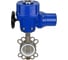 Затвор DN.ru 316L-316L-PTFE Ду300 Ру16 с электроприводом QT-W (M)-120 220В D050-12568 2
