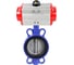 Затвор DN.ru GGG50-316L-EPDM Ду125 Ру16 с пневмоприводом D050-09750 1