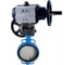 Затвор дисковый DN.ru GGG50-316L-EPDM Ду150, Ру16, ручной дублёр D050-21681 1