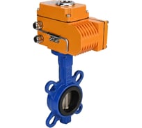 Затвор DN.ru GGG50-316L-EPDM Ду300 Ру16 с электроприводом QT-060 220В D050-09716