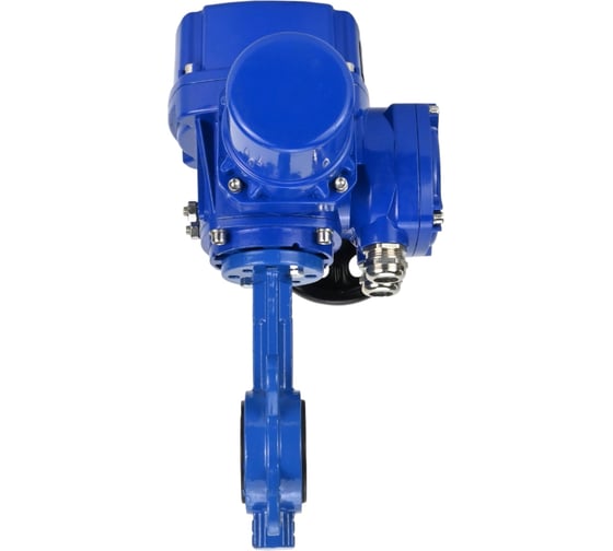 Затвор DN.ru GGG50-316L-EPDM Ду300 Ру16 с электроприводом QT-W (M)-060 220В D050-12816