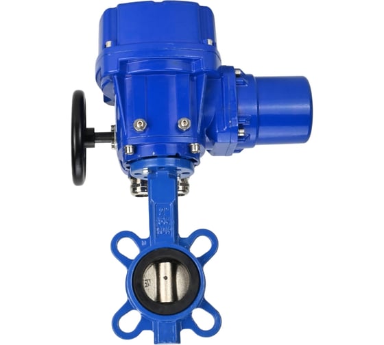 Затвор DN.ru GGG50-316L-EPDM Ду300 Ру16 с электроприводом QT-W (M)-060 220В D050-12816