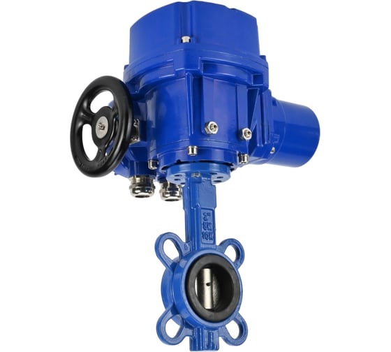 Затвор DN.ru GGG50-316L-EPDM Ду300 Ру16 с электроприводом QT-W (M)-060 220В D050-12816
