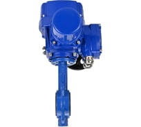 Затвор DN.ru GGG50-316L-EPDM Ду250 Ру16 с электроприводом QT-W (M)-040 380В D050-12825