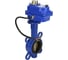 Затвор DN.ru GGG50-316L-EPDM Ду40 Ру16 с электроприводом 003 blue 24В D050-11931 3