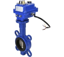 Затвор DN.ru GGG50-316L-EPDM Ду50 Ру16 с электроприводом 003 blue 12В D050-11950