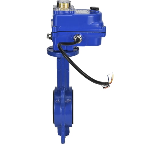 Затвор DN.ru GGG50-316L-EPDM Ду50 Ру16 с электроприводом 003 blue 12В D050-11950