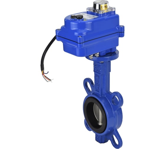 Затвор DN.ru GGG50-316L-EPDM Ду50 Ру16 с электроприводом 003 blue 12В D050-11950