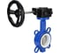Затвор DN.ru WCB-316L-PTFE Ду100 Ру16 с редуктором HAM-1 D050-12107 7