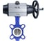 Затвор DN.ru WCB-316L-PTFE Ду125 Ру16 с пневмоприводом D050-21921 1