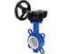 Затвор DN.ru WCB-316L-PTFE Ду125 Ру16 с редуктором HAM-1 D050-12108 1