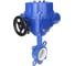 Затвор DN.ru WCB-316L-PTFE Ду150 Ру16 с электроприводом QT-W (M)-040 220В D050-12685 5