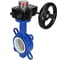 Затвор DN.ru WCB-316L-PTFE Ду40 Ру16 с редуктором HGB-1 D050-12143 1
