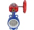 Затвор DN.ru WCB-316L-PTFE Ду80 Ру16 с редуктором HGBF-1 D050-12186 2