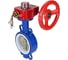 Затвор DN.ru WCB-316L-PTFE Ду80 Ру16 с редуктором HGBF-1 D050-12186 3