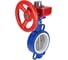 Затвор DN.ru WCB-316L-PTFE Ду80 Ру16 с редуктором HGBF-1 D050-12186 5