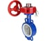 Затвор DN.ru WCB-316L-PTFE Ду80 Ру16 с редуктором HGBF-1 D050-12186 7