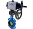 Дисковый затвор DN.ru GG25-316L-NBR Ду150 Ру16, ручной дублёр D050-21718 1