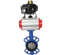 Затвор DN.ru GGG50-GGG40-EPDM Ду150 Ру16 с пневмоприводом, БКВ D050-08270