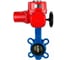 Затвор DN.ru дисковый GGG50-GGG40-EPDM Ду80 Ру16 с электроприводом QT-W (M) EX-005 220В D050-12782 1