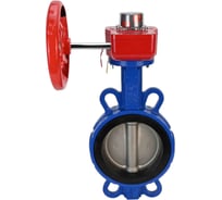 Дисковый поворотный затвор DN.ru GG25-316L-NBR Ду125 Ру16 с редуктором HGBF-1 D050-13183