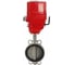 Затвор DN.ru 316L-316L-VITON Ду100 Ру16 с электроприводом EX-010 380В D050-08699 3