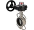 Затвор DN.ru 316L-316L-EPDM Ду125 Ру16 с редуктором HGB-1 D050-12128 5