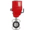 Затвор DN.ru 316L-316L-VITON Ду80 Ру16 с электроприводом EX-010 24В D050-08708 3