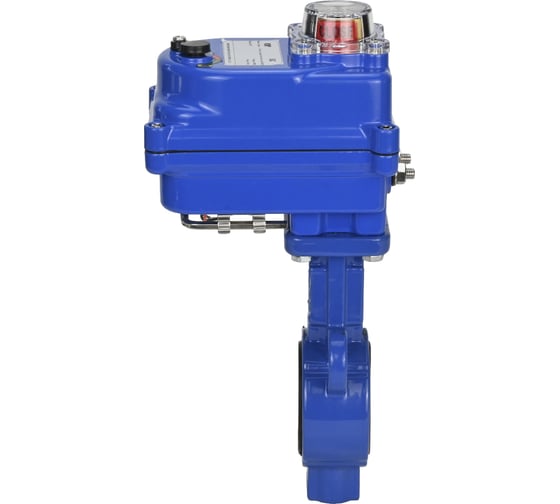 Дисковый затвор DN.ru AL-316L-EPDM Ду25 Ру16 электропривод 003 blue 24В D050-11935