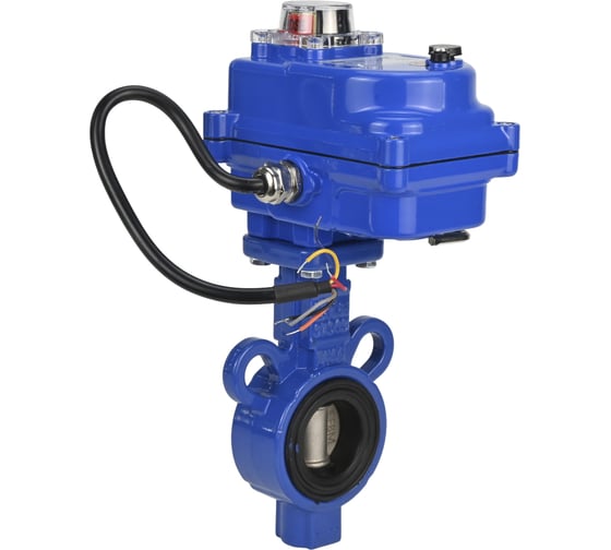 Дисковый затвор DN.ru AL-316L-EPDM Ду25 Ру16 электропривод 003 blue 24В D050-11935