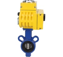 Дисковый затвор DN.ru AL-316L-EPDM Ду25 Ру16 электропривод QT-005 24В D050-11195