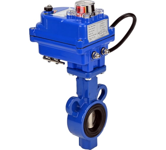 Дисковый затвор DN.ru AL-316L-EPDM Ду32 Ру16 электропривод 003 blue 24В D050-11936 1