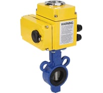 Дисковый затвор DN.ru AL-316L-EPDM Ду25 Ру16 электропривод QT-003 220В D050-11189