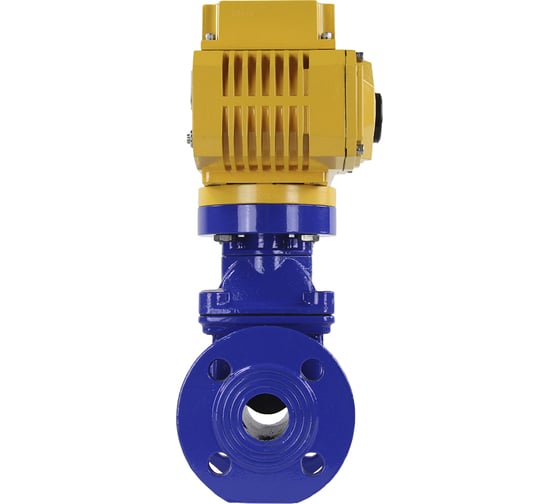 Задвижка клиновая DN.ru 30ч939р GGG50-EPDM-F4-BLUE Ду40, Ру16, электропривод MT-50 220В D040-00759